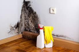 Best HVAC Mold Inspection and Cleaning in English Creek, NJ